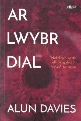 bokomslag Ar Lwybr Dial