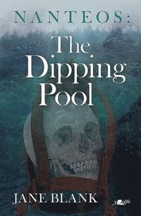 bokomslag Nanteos: The Dipping Pool