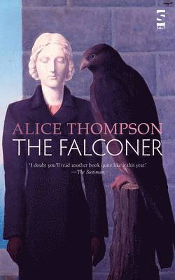 Alice Thompson - Falconer, Häftad