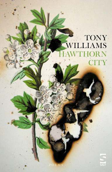 Tony Williams - Hawthorn City, Häftad