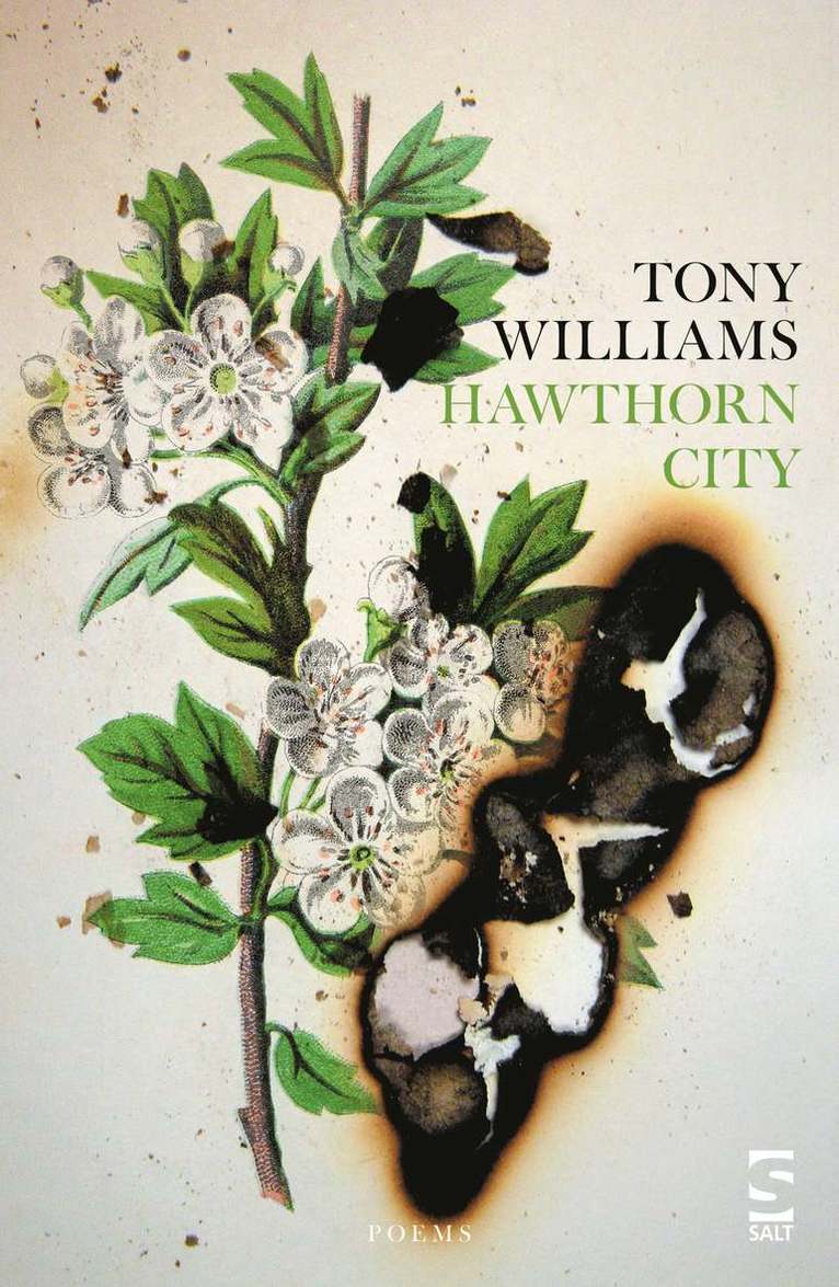 Tony Williams - Hawthorn City, Häftad