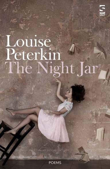 Louise Peterkin - Night Jar, Häftad