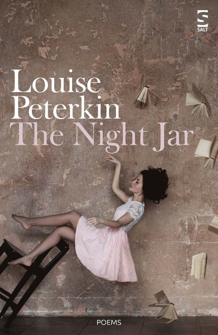Louise Peterkin - Night Jar, Häftad