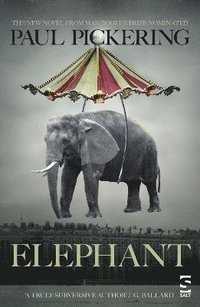 bokomslag Elephant