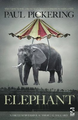 Elephant 1