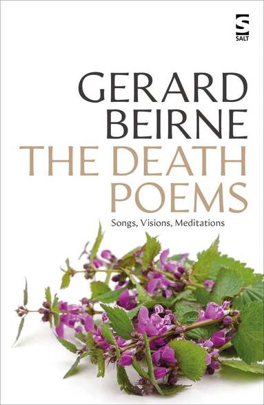 Gerard Beirne - Death Poems, Häftad