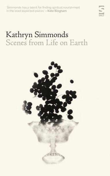 Kathryn Simmonds - Scenes from Life on Earth, Häftad