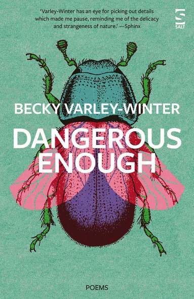 Becky Varley-Winter - Dangerous Enough, Häftad