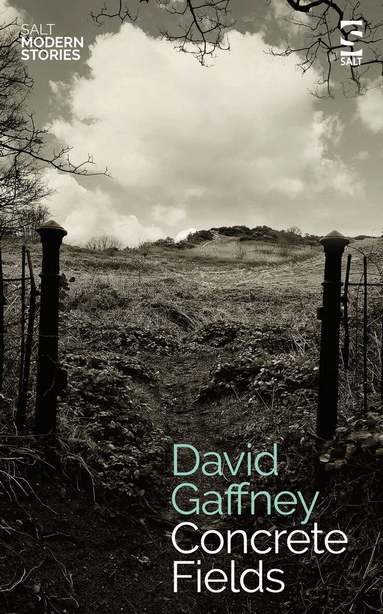 David Gaffney - Concrete Fields, Häftad