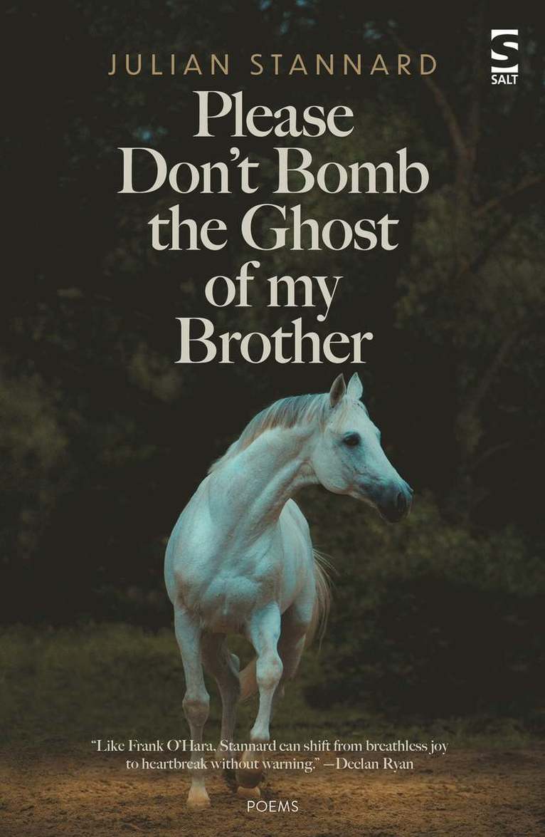 Julian Stannard - Please Don’t Bomb the Ghost of My Brother, Häftad