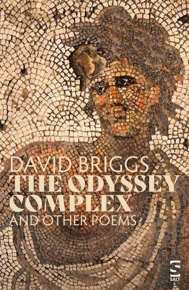 David Briggs - Odyssey Complex, Häftad