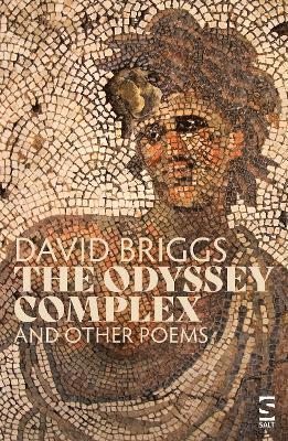 David Briggs, Mr David Briggs - Odyssey Complex, Häftad