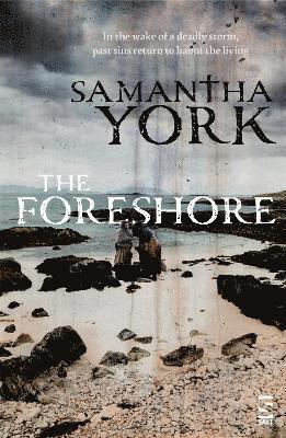 bokomslag Foreshore
