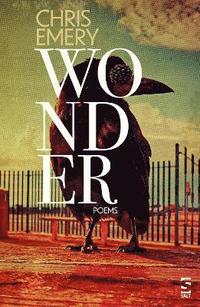 bokomslag Wonder