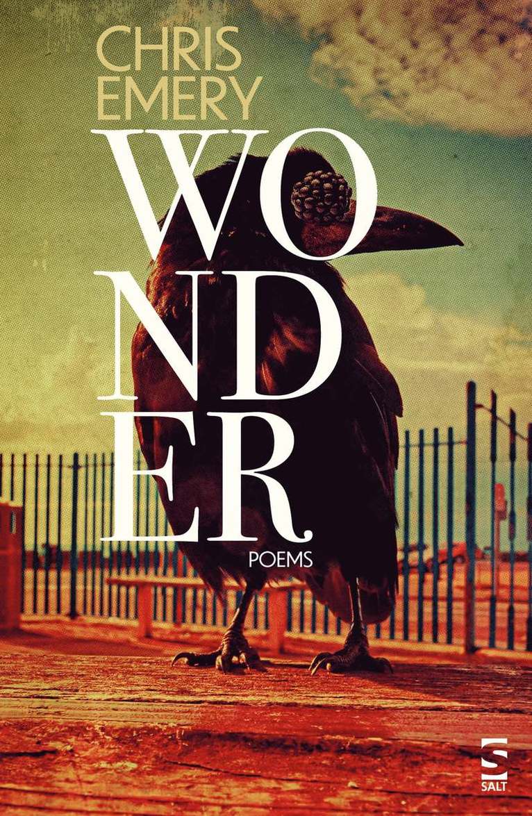 Chris Emery - Wonder, Häftad