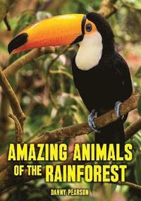 bokomslag Amazing Animals of the Rainforest