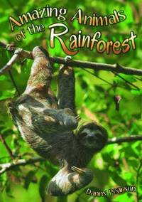 bokomslag Amazing Animals of the Rainforest