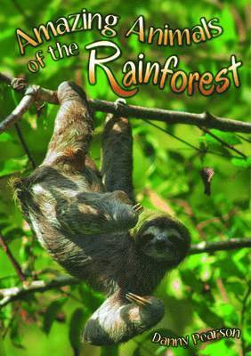 Amazing Animals of the Rainforest 1