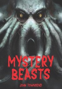 bokomslag Mystery Beasts