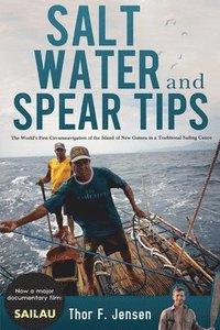 bokomslag Salt Water and Spear Tips
