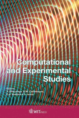 Y. Villacampa, G. M. Carlomagno, C. A. Brebbia, S. Ivorra - Computational and Experimental Studies, Inbunden