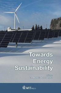 bokomslag Towards Energy Sustianability