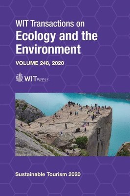 J. J. Casares Long, F. Pineda, J. Casares Long - Sustainable Tourism IX, Inbunden