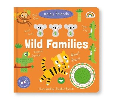 Philip Dauncey - Noisy Friends- Wild Families, Kartonnage