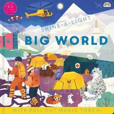 bokomslag Shine a light - Big World