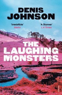 bokomslag Laughing Monsters