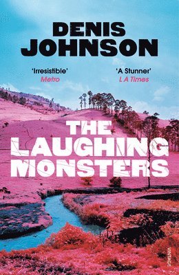 bokomslag Laughing Monsters