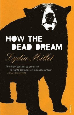 Lydia Millet - How the Dead Dream, Häftad