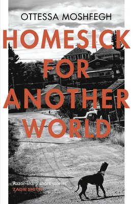 Ottessa Moshfegh - Homesick For Another World, Häftad