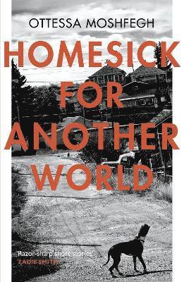 bokomslag Homesick For Another World