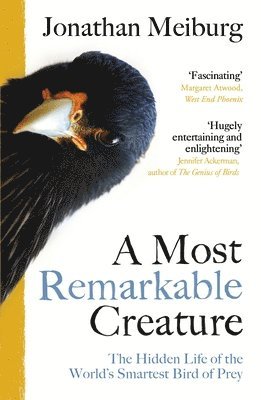 A Most Remarkable Creature 1