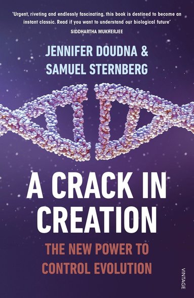 bokomslag A Crack in Creation