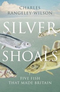 bokomslag Silver Shoals