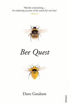 Bee Quest 1