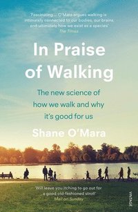 bokomslag In Praise of Walking