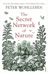 bokomslag The Secret Network of Nature