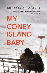 bokomslag My Coney Island Baby
