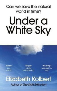 bokomslag Under a White Sky