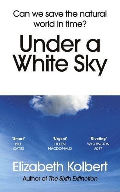 bokomslag Under a White Sky