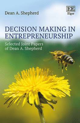 Dean A. Shepherd - Decision Making in Entrepreneurship, Inbunden