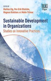 bokomslag Sustainable Development in Organizations