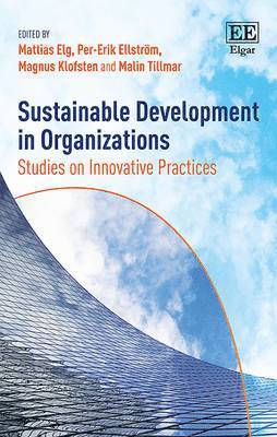 Mattias Elg, Per- Erik Ellström, Magnus Klofsten, Malin Tillmar - Sustainable Development in Organizations, Inbunden