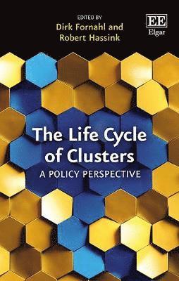 Dirk Fornahl, Robert Hassink - Life Cycle of Clusters, Inbunden