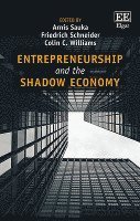 bokomslag Entrepreneurship and the Shadow Economy