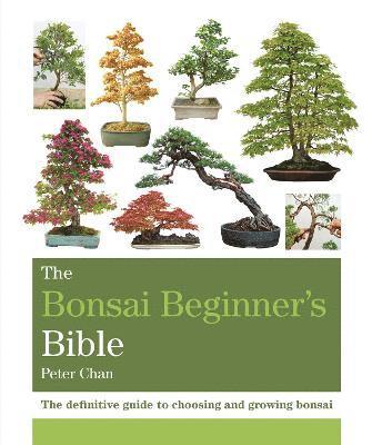 The Bonsai Beginner's Bible 1