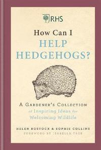 bokomslag RHS How Can I Help Hedgehogs?